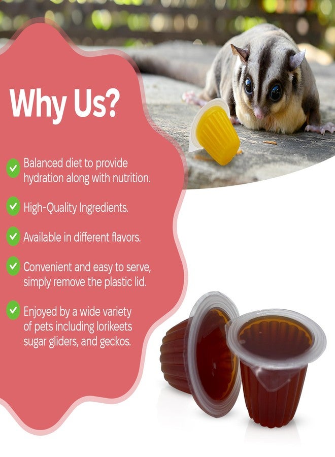 Snout and Shell Beetle Jelly for Exotic Pets - Nutrient-Rich Feeding Gel for Beetles, Insects, and Small Reptiles - Easy to Use, Mess-Free - Mango - Image 4